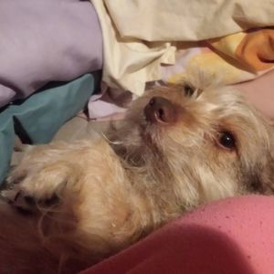 Meet your Posher, Edith l